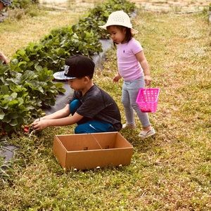 Meet your Posher, Sim